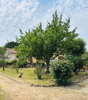 A residential area with a large tree, a stone pathway, and houses with red-tiled roofs. - Les 3 Tilleuls* Charme & Jardin in the heart of Sarlat (Sarlat-la-Canéda)