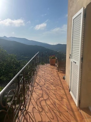Property grounds - la maison CM (Nessa)