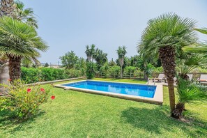 Ein rechteckiger Pool, umgeben von Gras und Palmen.