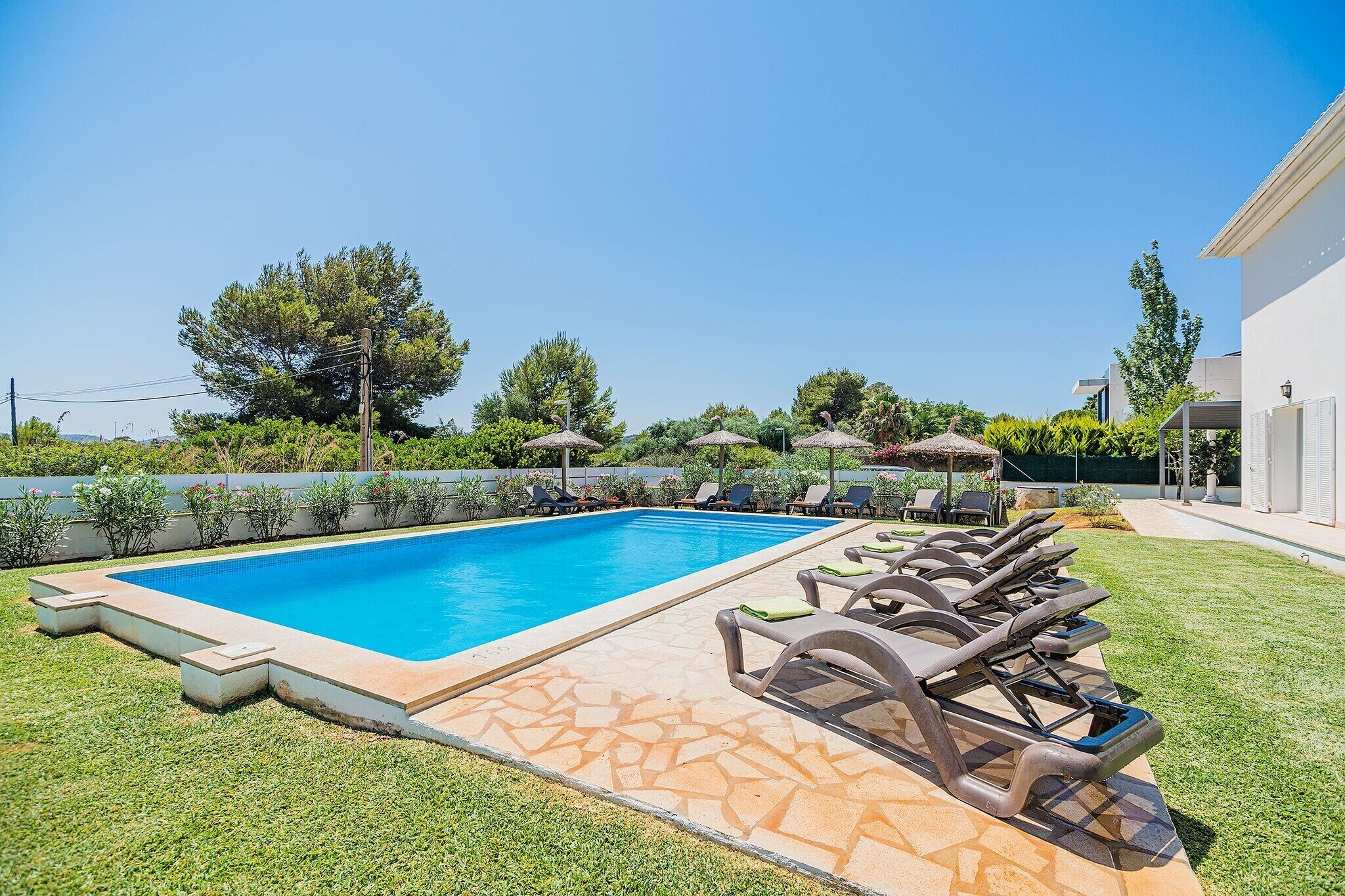 Una piscina con sillones de descanso y sombrillas, rodeada de follaje y un cielo despejado.