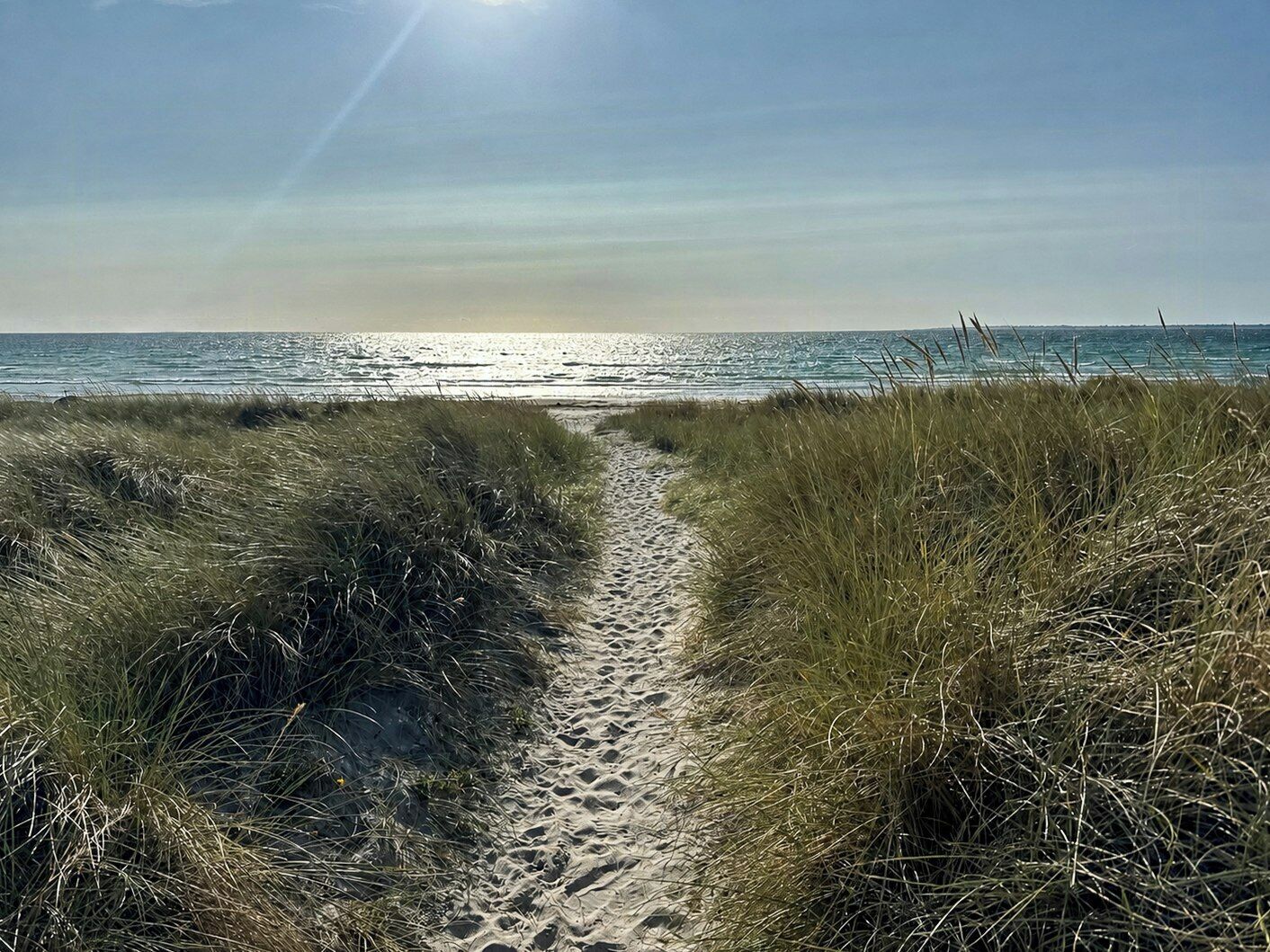 A sandy path leading to the ocean with grass on either side.