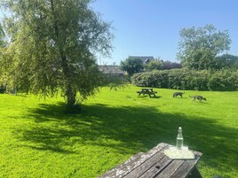 Un espacio al aire libre con césped, una mesa de picnic y una botella.