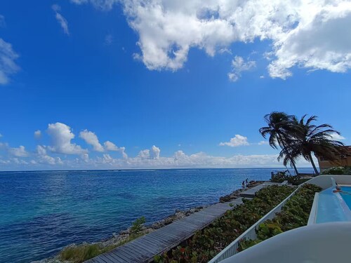 La palmeraie Eden Blue by Barbadine