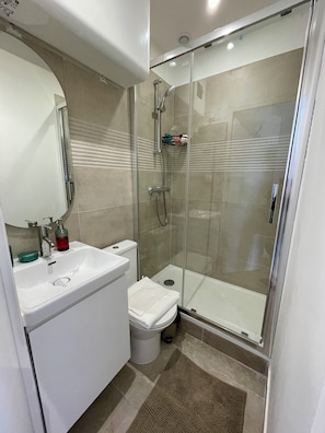 Hair dryer, towels, soap, toilet paper