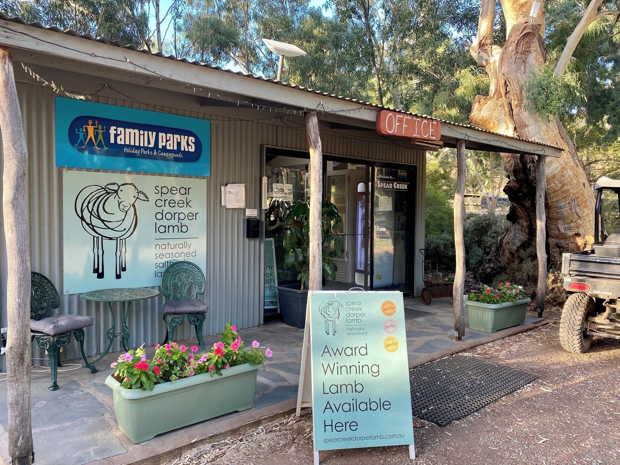 Parque familiar con un cartel que dice 'Spear Creek Dorper Lamb' y un cordero premiado.