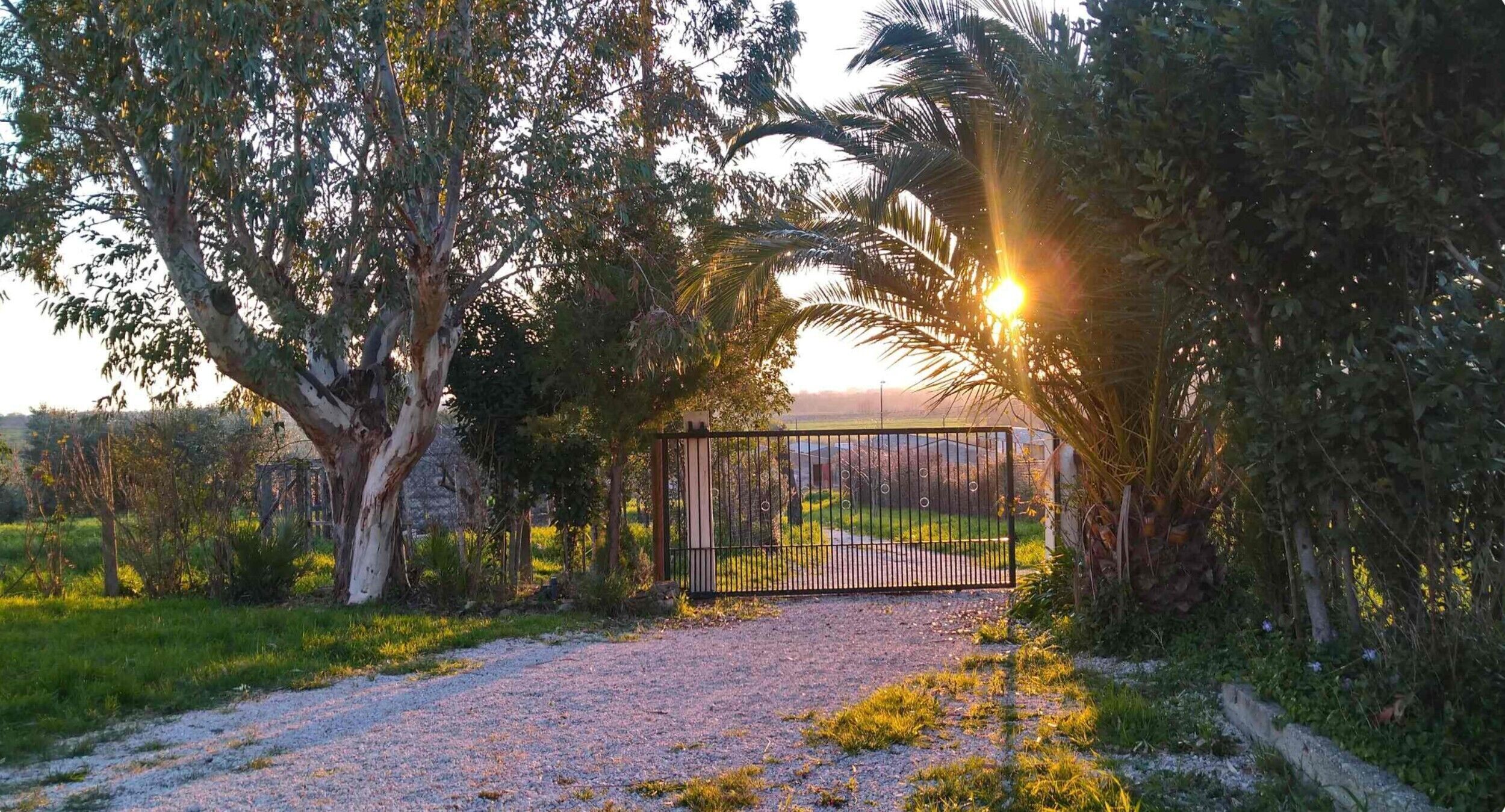 Área da propriedade