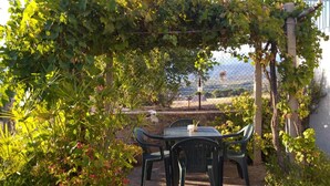 An outdoor patio with a table and chairs, surrounded by greenery and a view of a vineyard.
