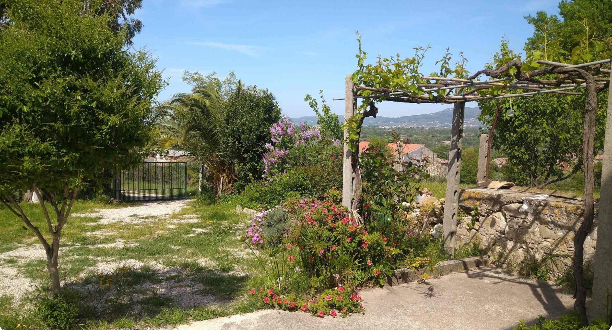 A garden with a pergola, flowering plants, and a stone wall.