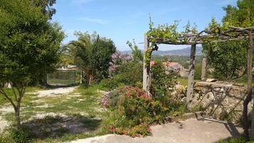 A garden with a pergola, flowering plants, and a stone wall.
