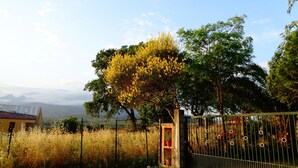 A fenced property with a tree, a gate, and a building with solar panels.