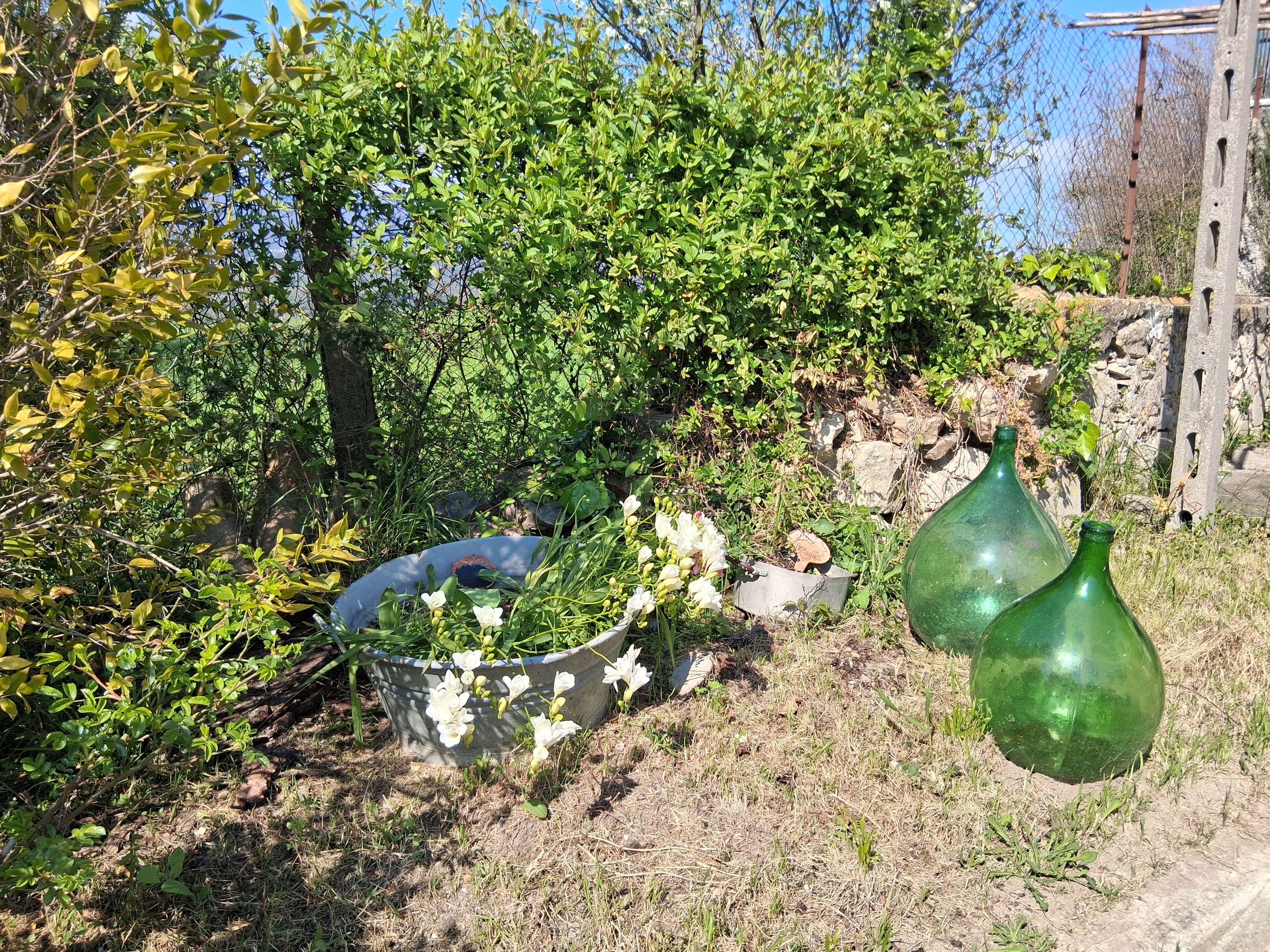 Un jardin agrémenté d’un bac à fleurs en métal, de bouteilles en verre vert et de fleurs blanches.