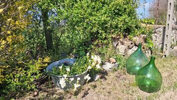 Un jardin agrémenté d’un bac à fleurs en métal, de bouteilles en verre vert et de fleurs blanches.