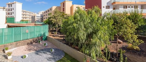 Un jardín en la azotea con diversas plantas y un pequeño estanque.
