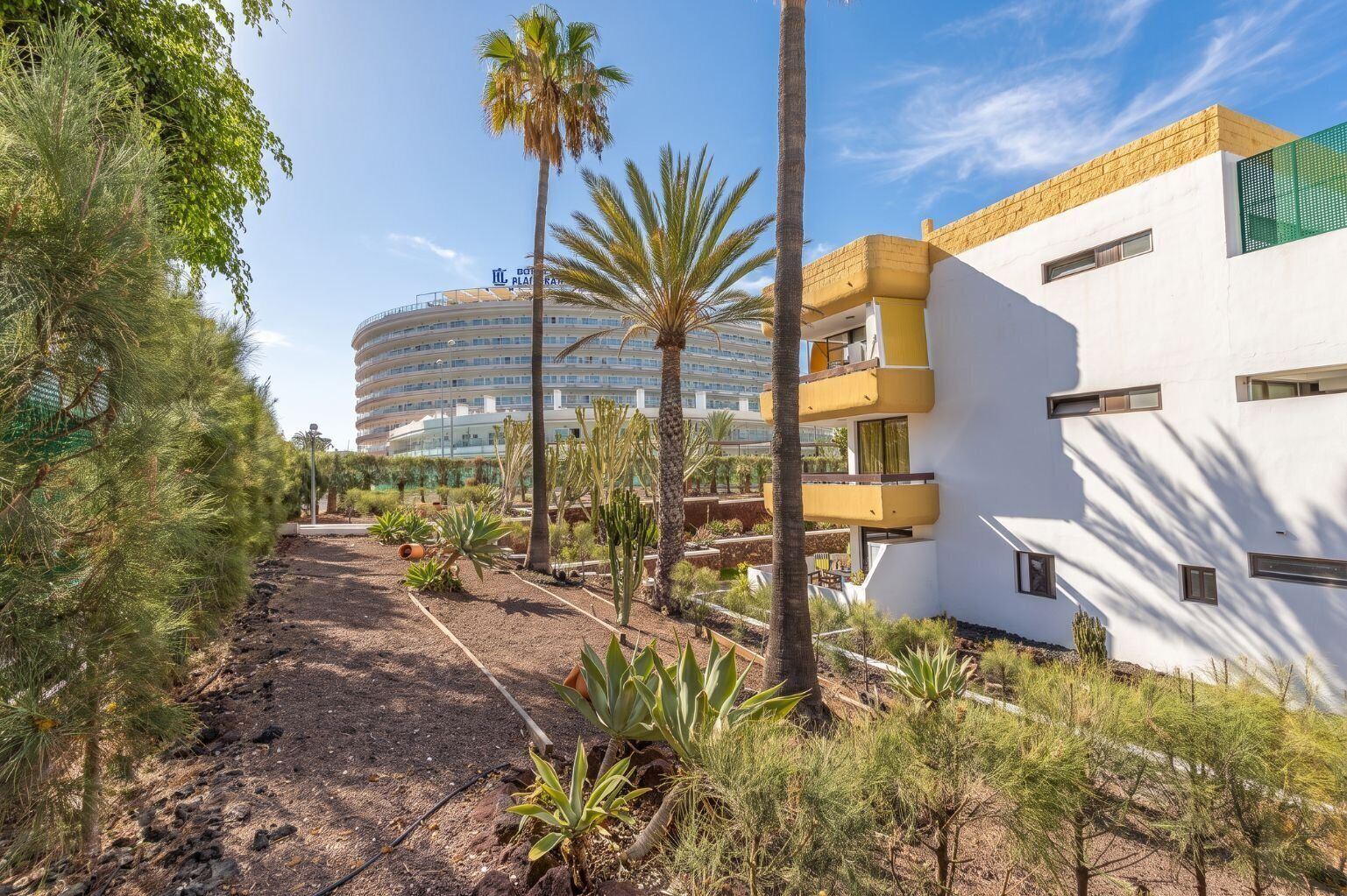 A modern building with a curved facade, a balcony with yellow railings, and a palm tree in the foreground.