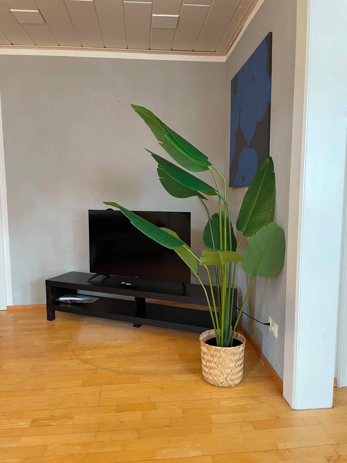 Superior Apartment | Free WiFi