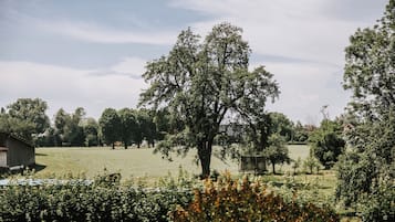 Superior-Doppelzimmer, Gartenblick | Unterkunftsgelände