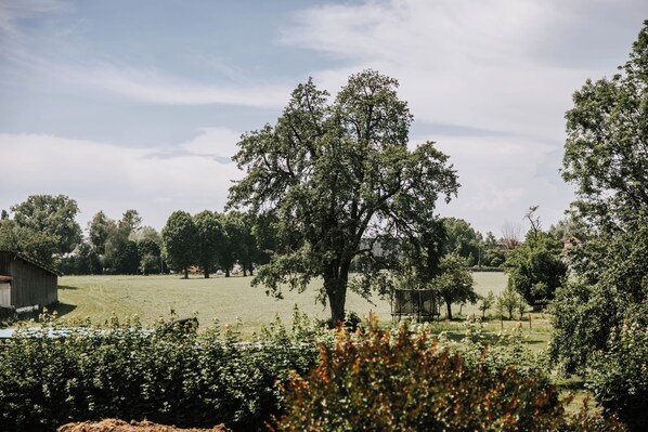 Superior Double Room, Garden View | Property grounds