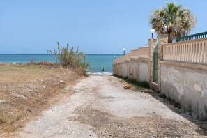 A coastal path leading to the sea, flanked by a stone wall and a palm tree.