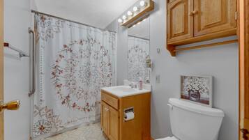 Hair dryer, soap, toilet paper