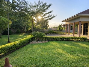 A well-maintained garden with a lawn, a palm tree, and a building with a tiled roof.