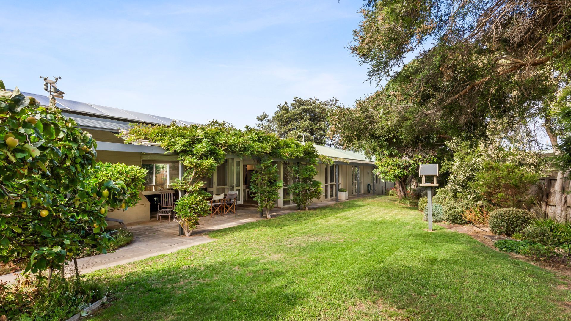 A residential property with a covered patio, a lawn, and a variety of plants.