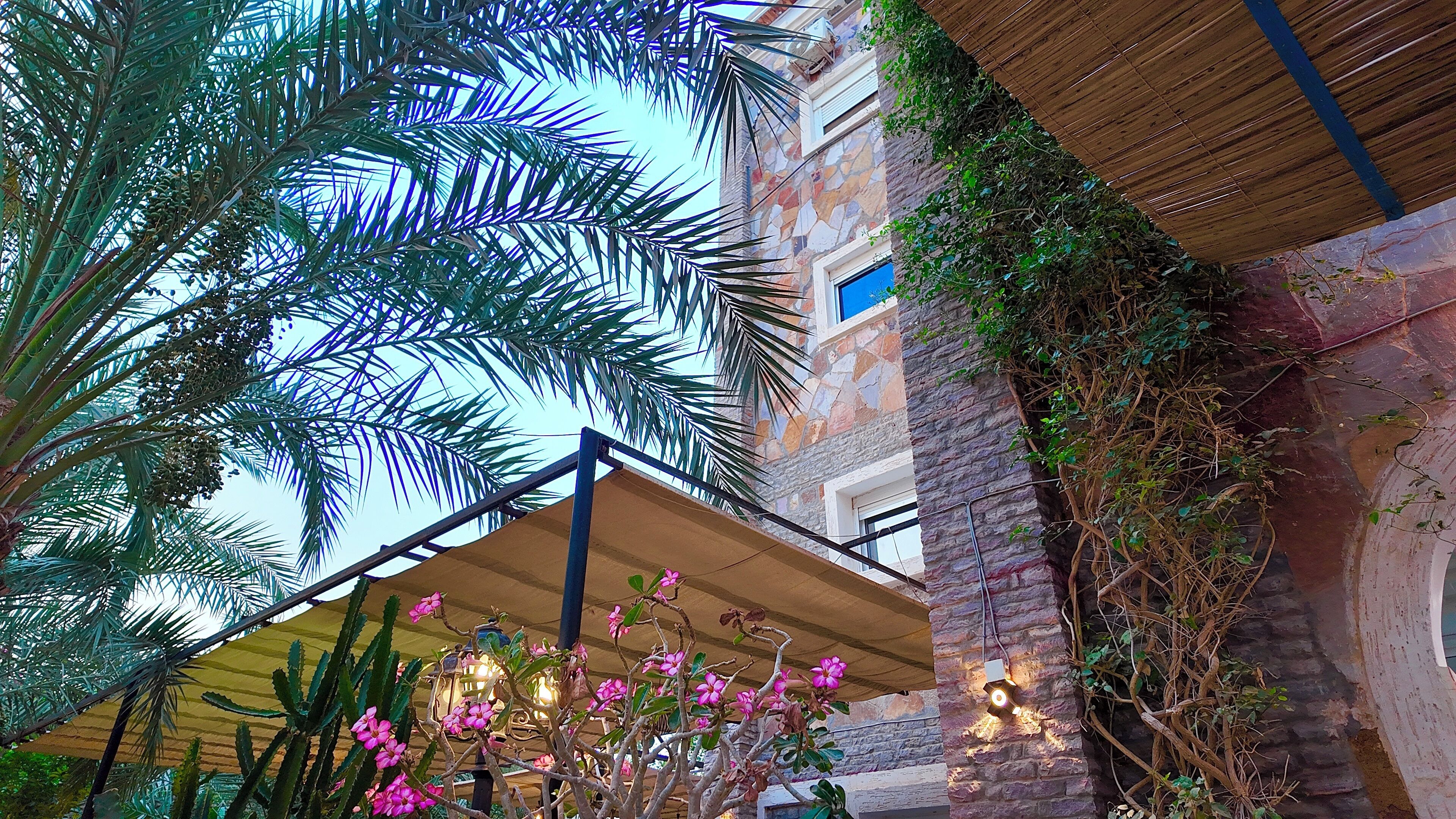 外观细节