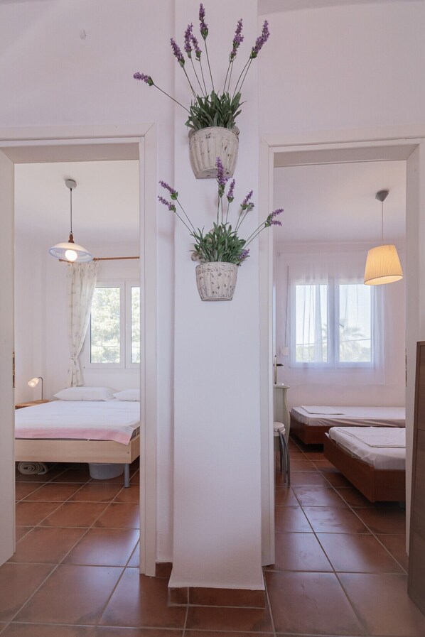 A room with two beds, a hanging plant, and a light fixture.