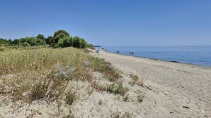 Une plage avec un rivage sablonneux, un ciel bleu dégagé et une végétation clairsemée.