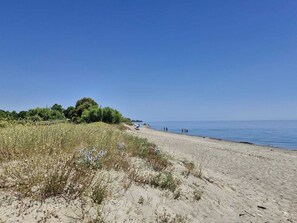 Ein Strand mit sandigem Ufer, blauem Himmel und spärlicher Vegetation.