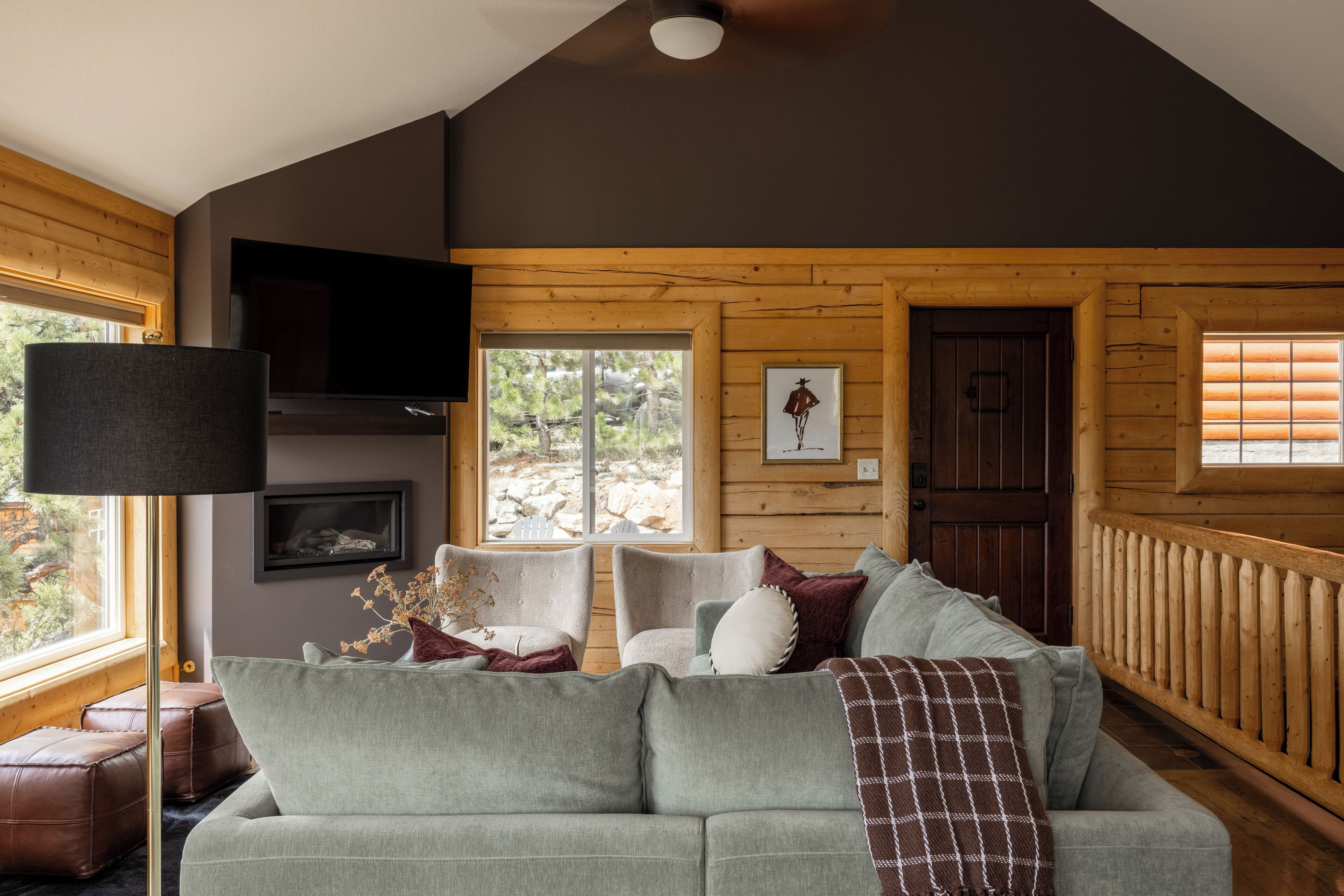 Smart TV, fireplace, books, stereo