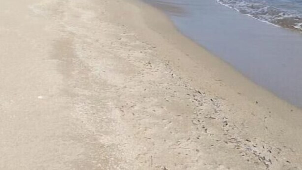 Spiaggia