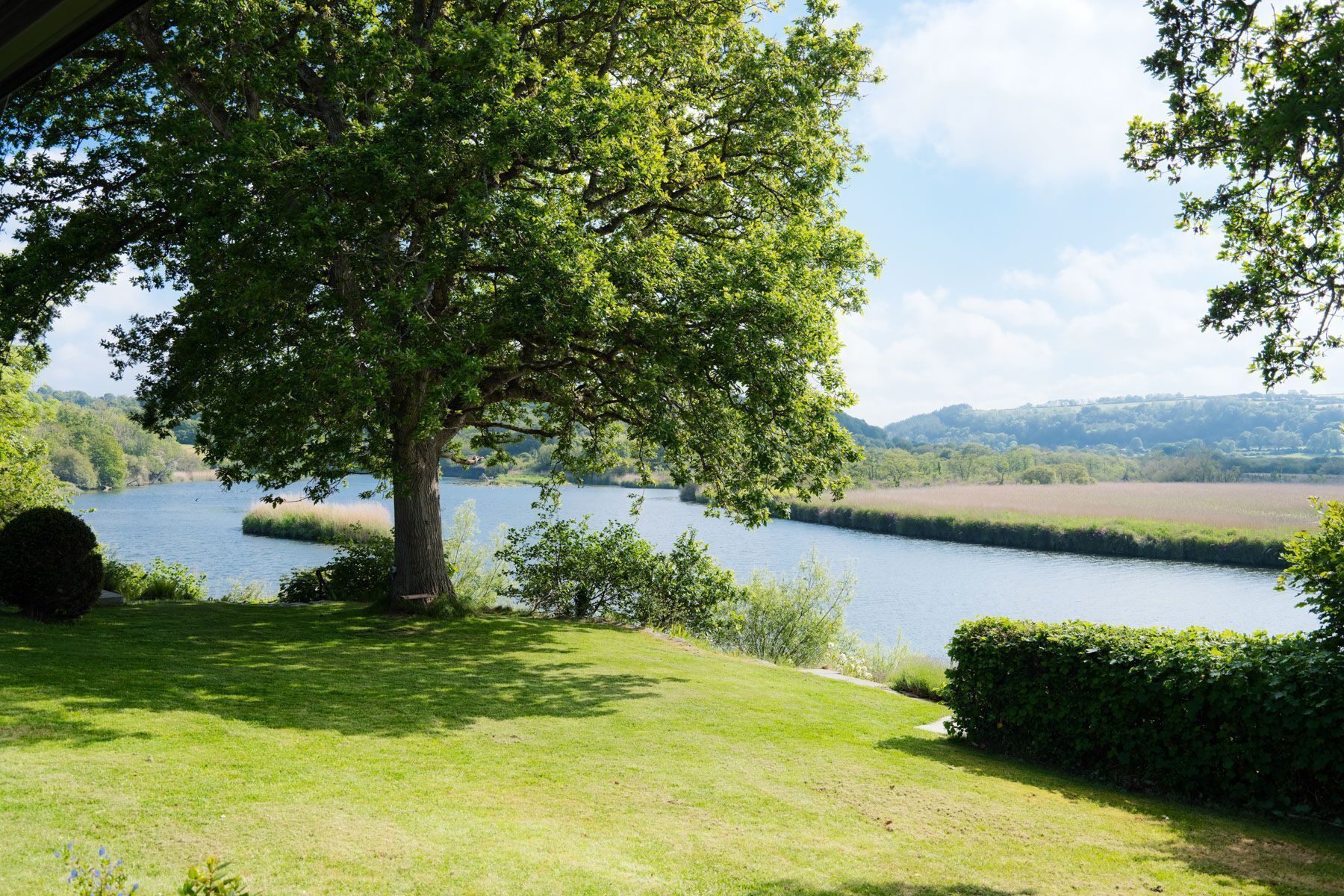 Blick auf einen See, gesäumt von Bäumen, mit einer grasbewachsenen Vordergrundebene und einer entfernten Hügelkette.