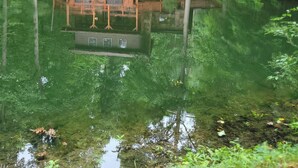 Une cabane dotée d’une terrasse donnant sur un lac, entourée d’une forêt dense.