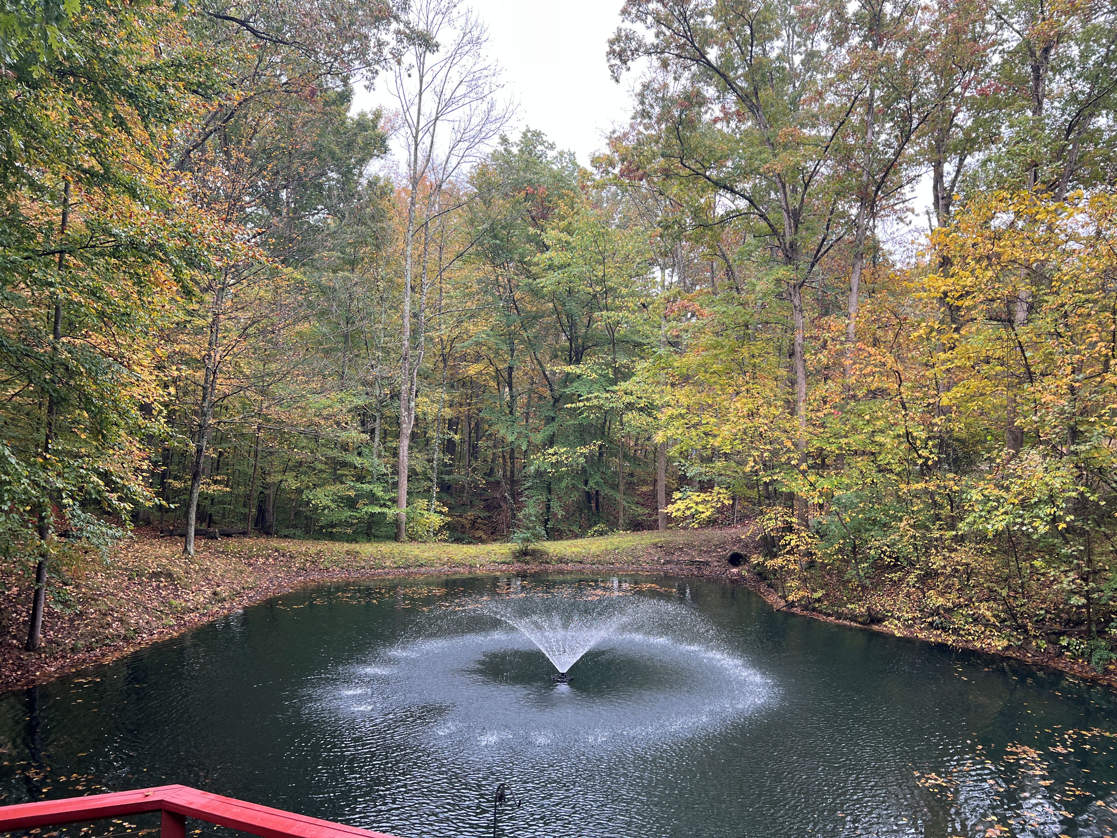 Ein Teich mit einer Fontäne in der Mitte, umgeben von Bäumen mit Herbstlaub.