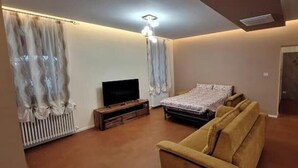 Ein Schlafzimmer mit einem Bett, einem Fernseher, einem Sofa und einer Heizung.