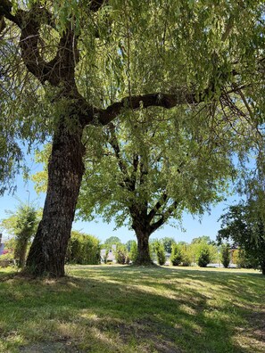 Unclassified image, 2 of 15, button - Les Grands Arbres ★ Comfort, space, and nature near Aurillac (Arpajon sur Cere)