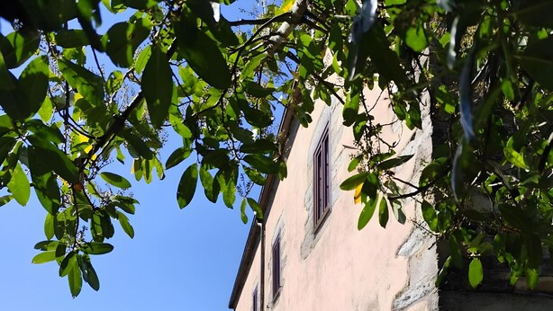Un edificio de fachada de piedra, un sendero estrecho y un cielo azul despejado.