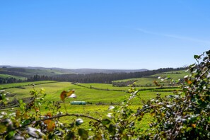 A rural landscape with rolling hills, a clear sky, and a distant view of a mountain range.