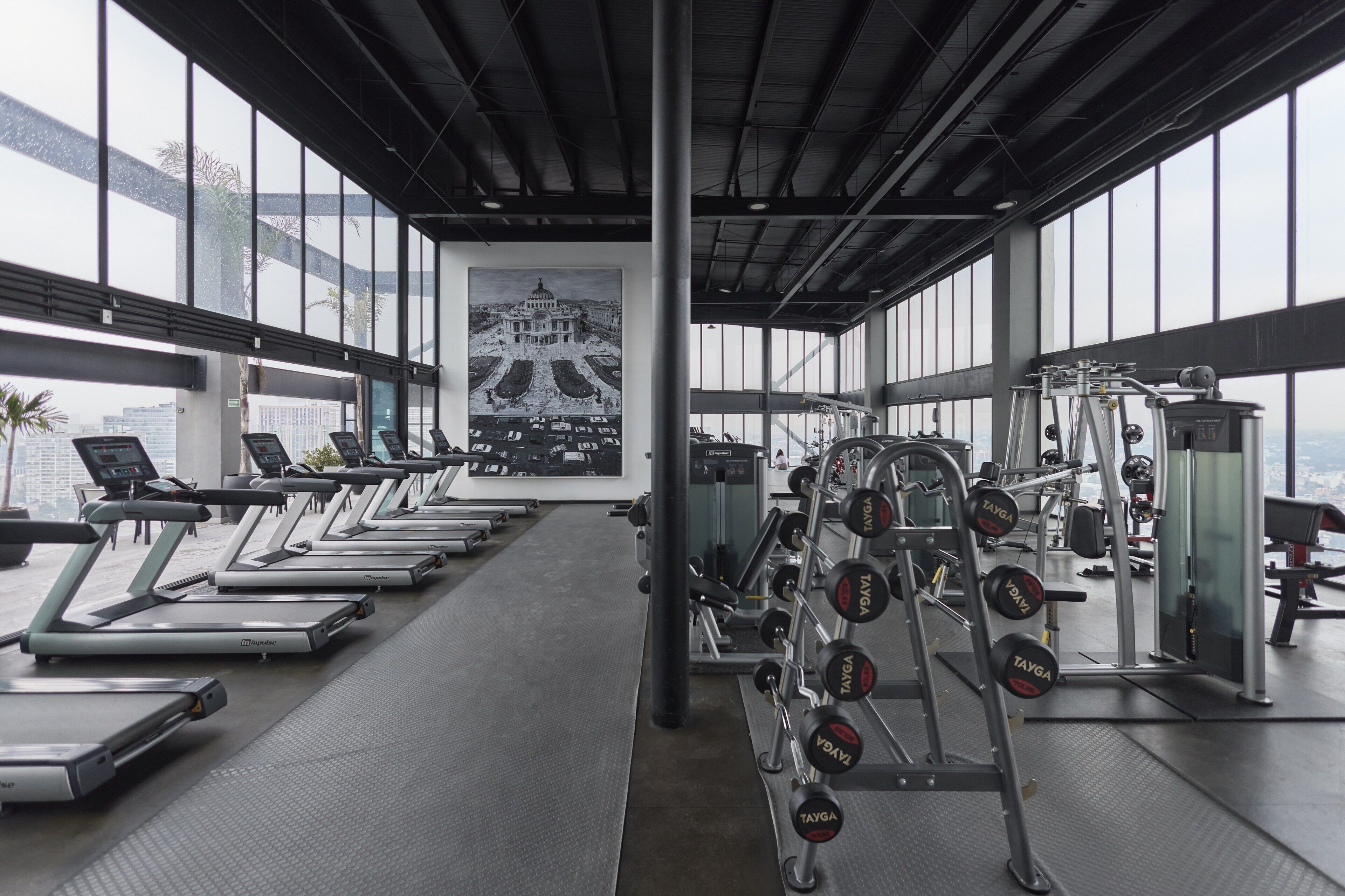 A gym with treadmills, weight machines, and dumbbells.