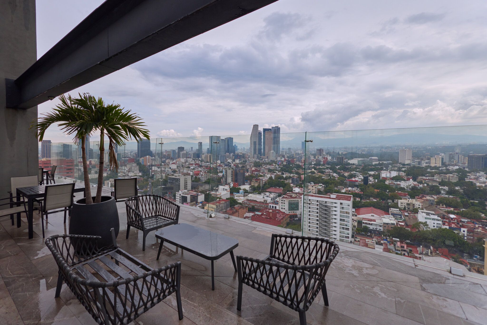A terrace with outdoor furniture, a palm tree, and a cityscape view.