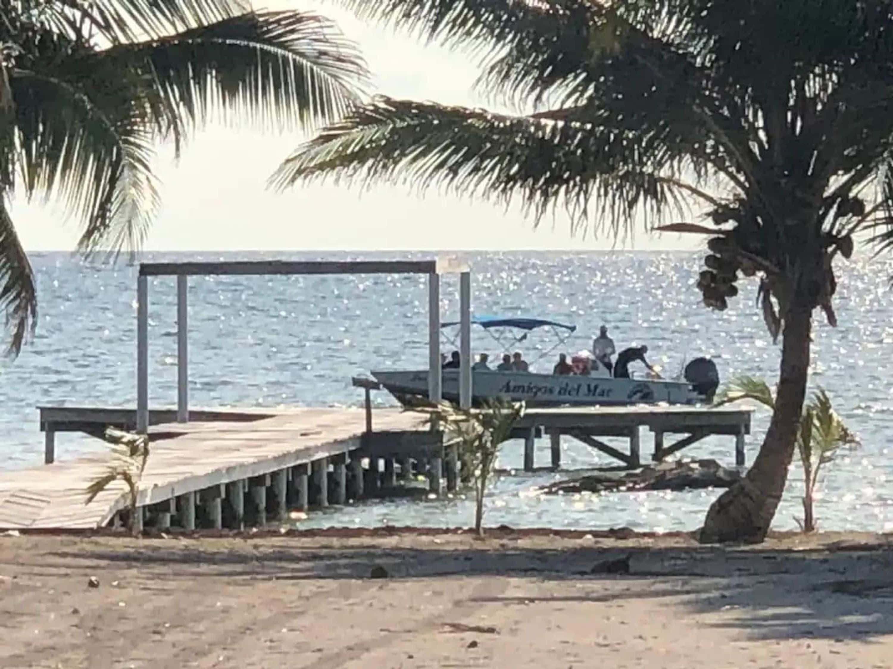 A boat with people on a pier, palm trees, and a body of water.