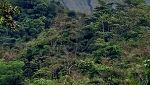 A mountain with a visible river or stream running down its center. - An unrivalled Location: Situated in the heart of Costa Rica's adventure capital, (Alajuela)