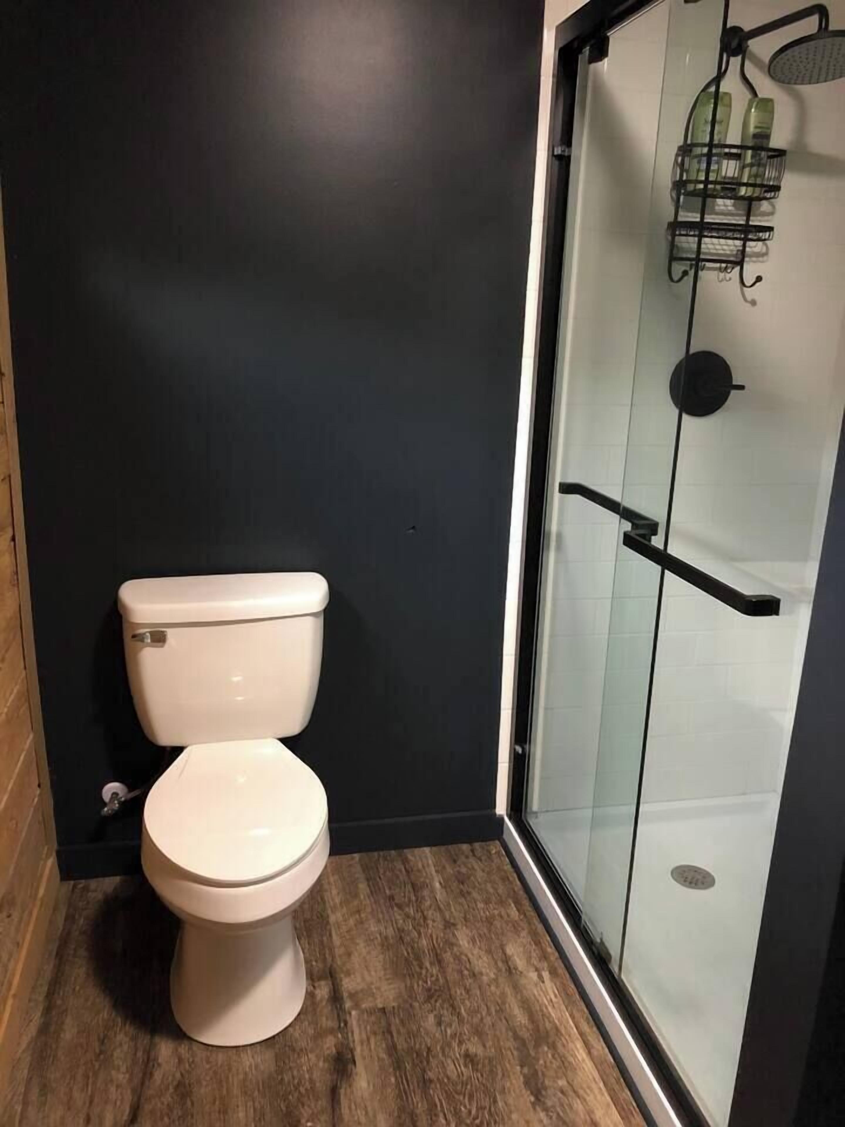 Hair dryer, towels, shampoo, toilet paper