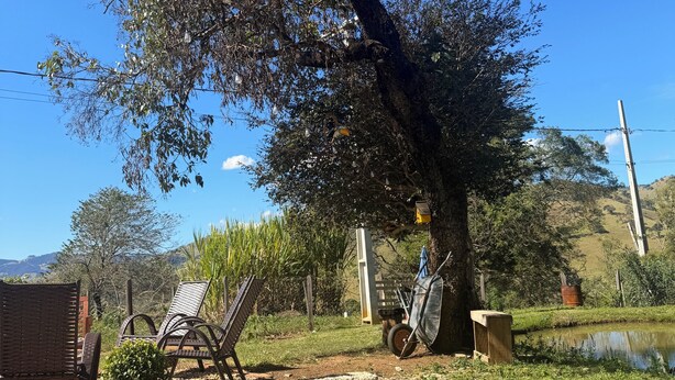 A tree with a metal chair and a potted plant in the foreground, a wooden structure, and a vehicle in the background. - Country house for relaxation!! 3 bedrooms, swimming pool, fishing lake, fully equipped kitchen. (Cambuí)