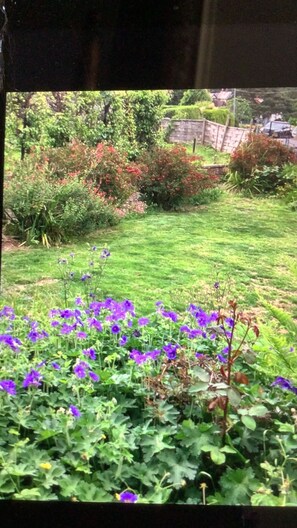 A garden with a variety of plants and flowers, including purple flowers in the foreground. - BKL Seaview House with panoramic views lawned garden   Children dogs welcome (Colwyn Bay)