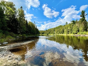 Un río rodeado de bosque denso y un cielo azul despejado.