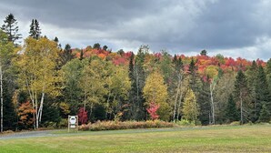 A forested area with a road and a signpost. - Junction 19 & Co - Upper Site #2 - Full Service RV / Tent Camping Site (Fort Kent)