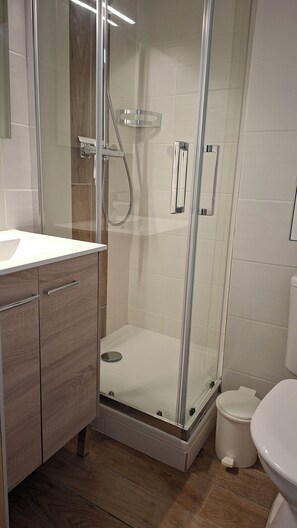 Secador de cabelo, sabonete, papel higiênico