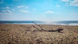 A beach with a fallen tree in the foreground and the ocean in the background. - Casitas by the Sea (Villa de Tututepec de Melchor Ocampo)