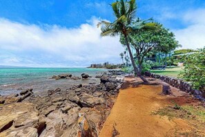 A coastal path with rocks, a palm tree, and a view of the ocean and buildings in the distance. - Mahina Surf 123 & 124 (Lahaina)
